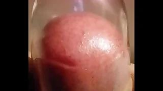 Consequences of growing tits